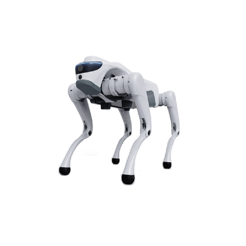Kaip keturkojis robotas gali transformuoti šiuolaikines pramonines ir pažangias programas?