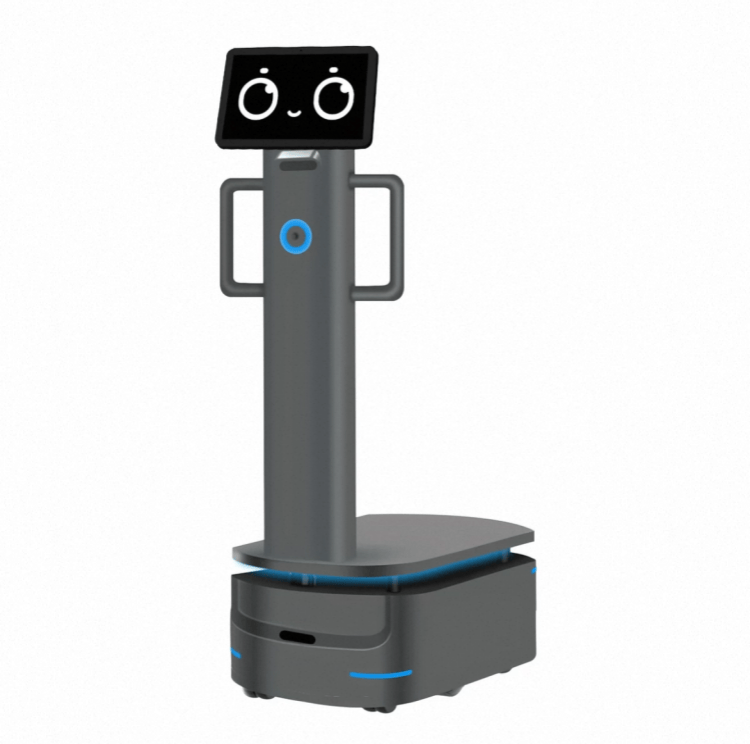 Didelės apkrovos robotas pramoniniam pristatymui