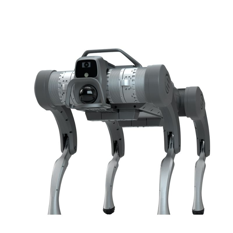 Atvirojo kodo keturkojis robotas šuo