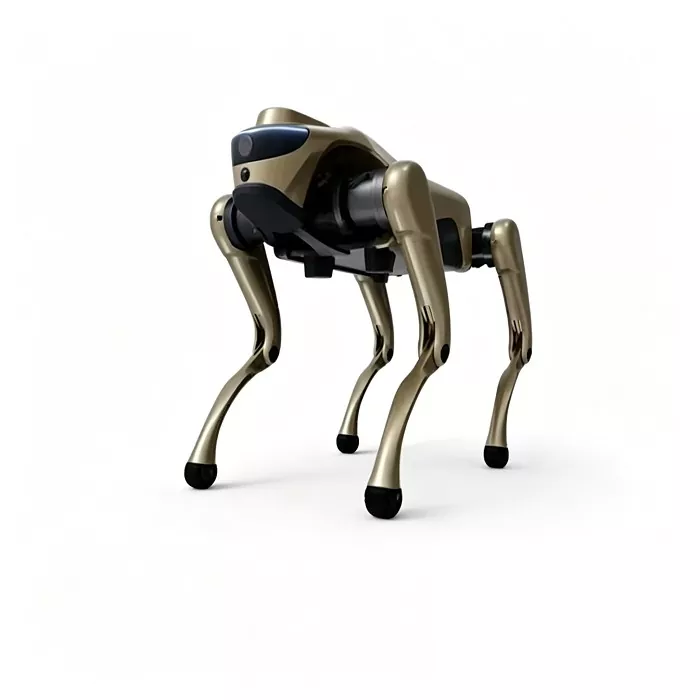 Keturkojis robotas šuo