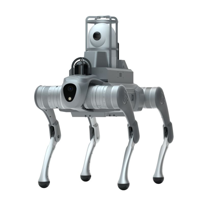 Keturkojo roboto šuns keturkojo roboto važiuoklės platforma